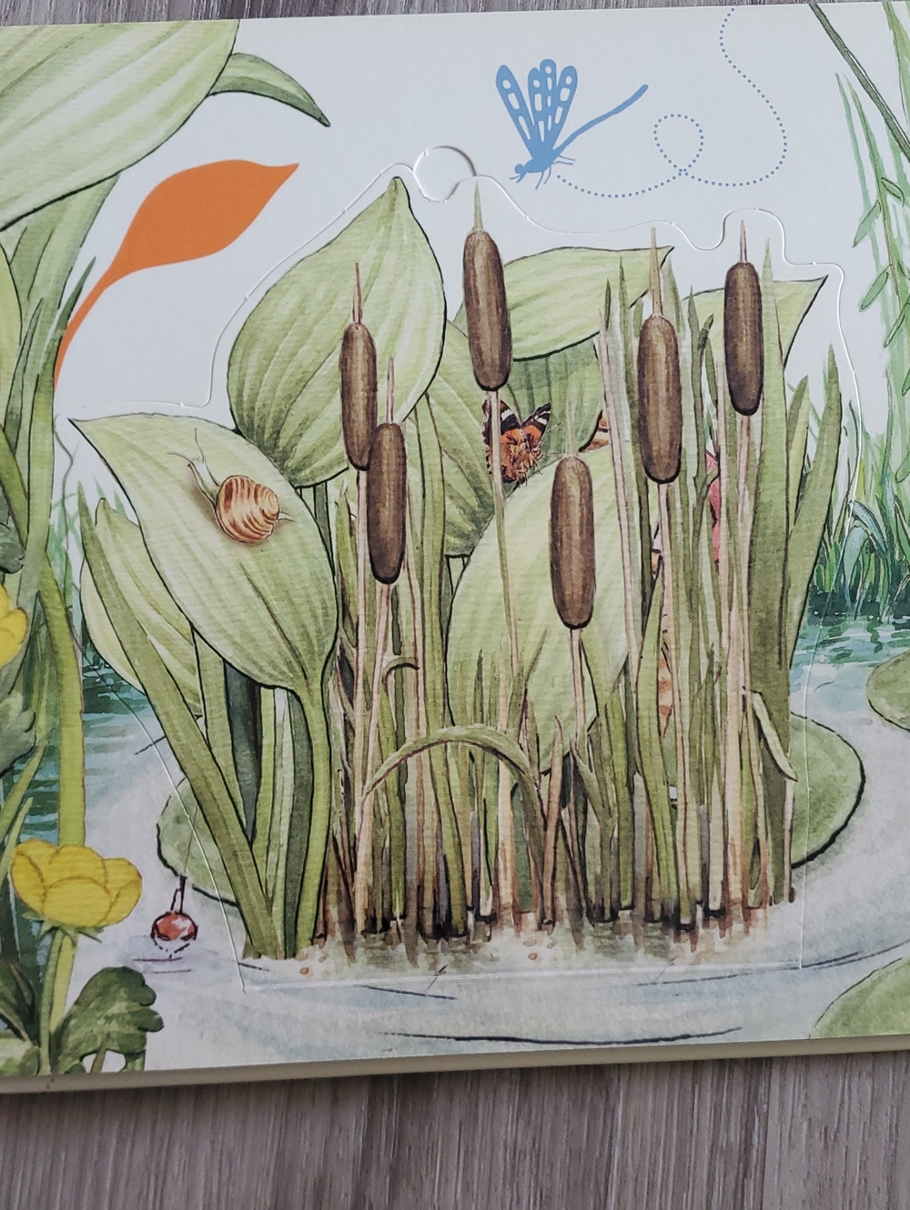 Peter Rabbit Board Book Bundle - Beatrix Potter - Picture 10 of 16